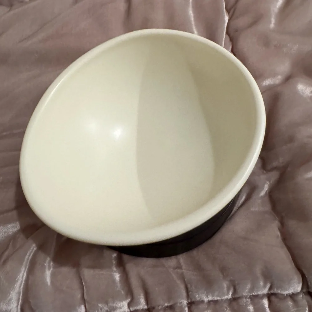 Modern Dog & Cat Bowl